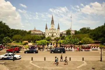 feel the beauty of New Orleans