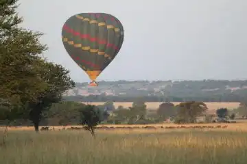 wildlife adventure in Tanzania