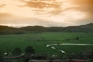wildlife encounters in Brunei