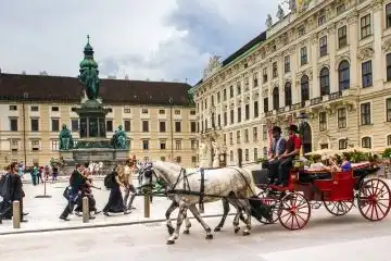 culture to experience in Vienna