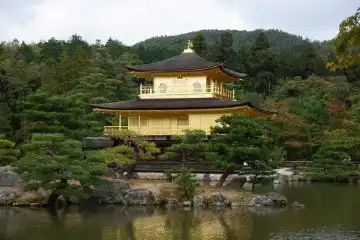 historic temples and geisha life in Kyoto