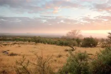 safaris and adventures in Phalaborwa